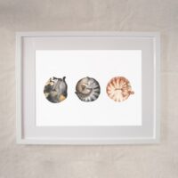 Cat Napping Trio - Sleeping Feline Art Print