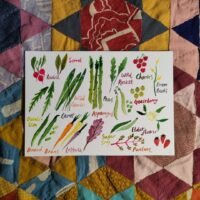 Fruit & Veg 02 - A5 Original Watercolour Painting
