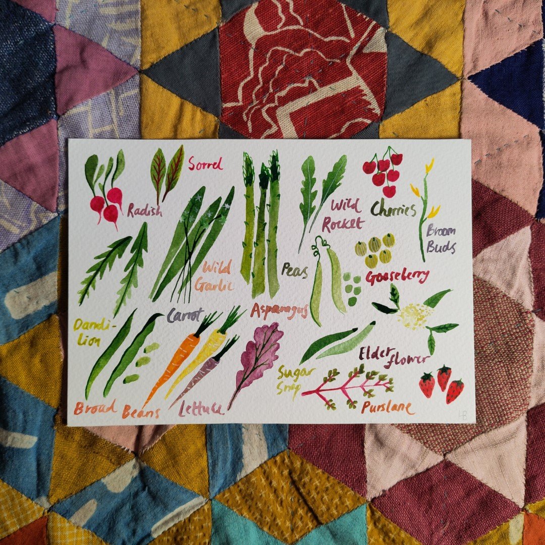 Fruit & Veg 02 - A5 Original Watercolour Painting