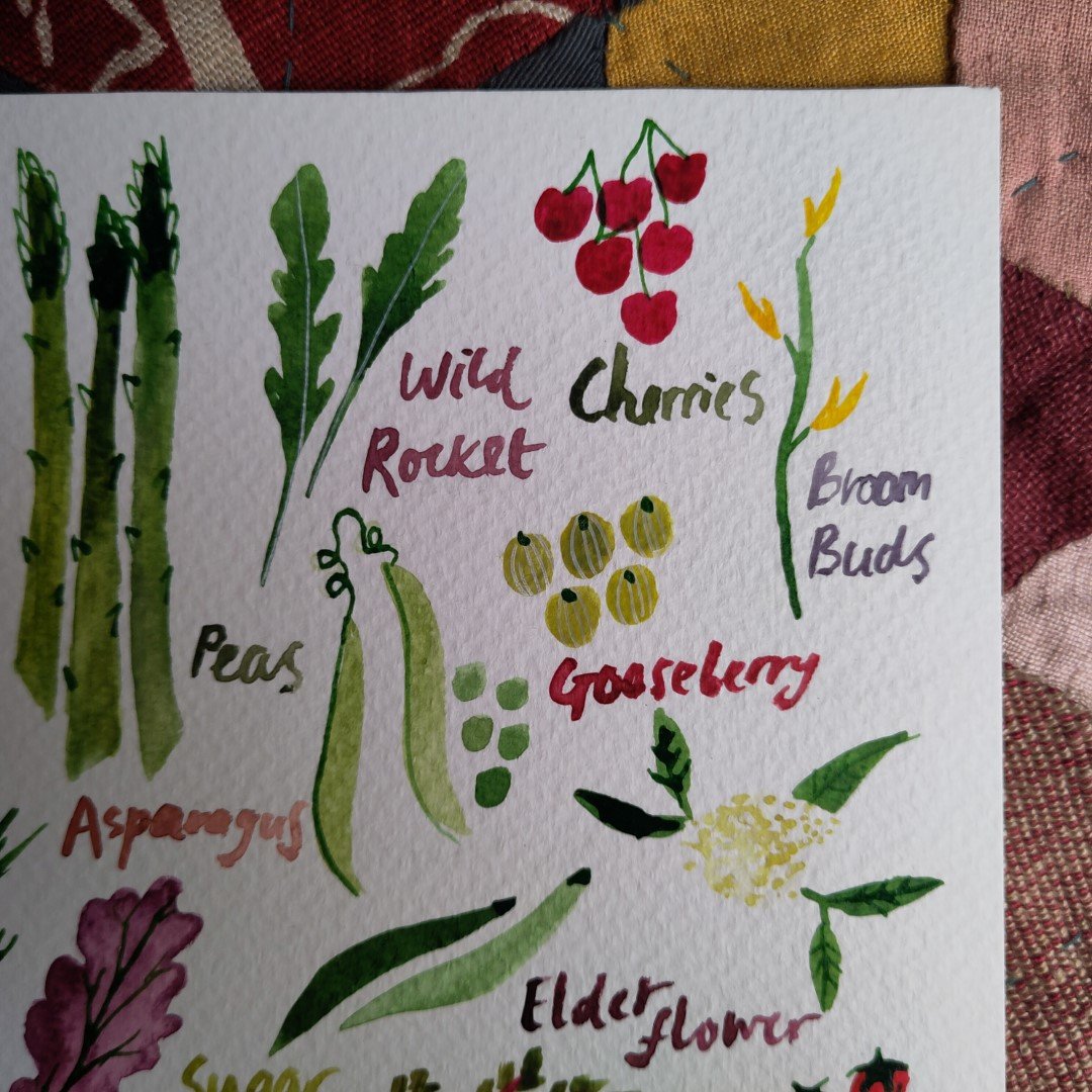 Fruit & Veg 02 - A5 Original Watercolour Painting - Image 3