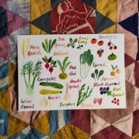 Fruit & Veg 03 - A5 Original Watercolour Painting
